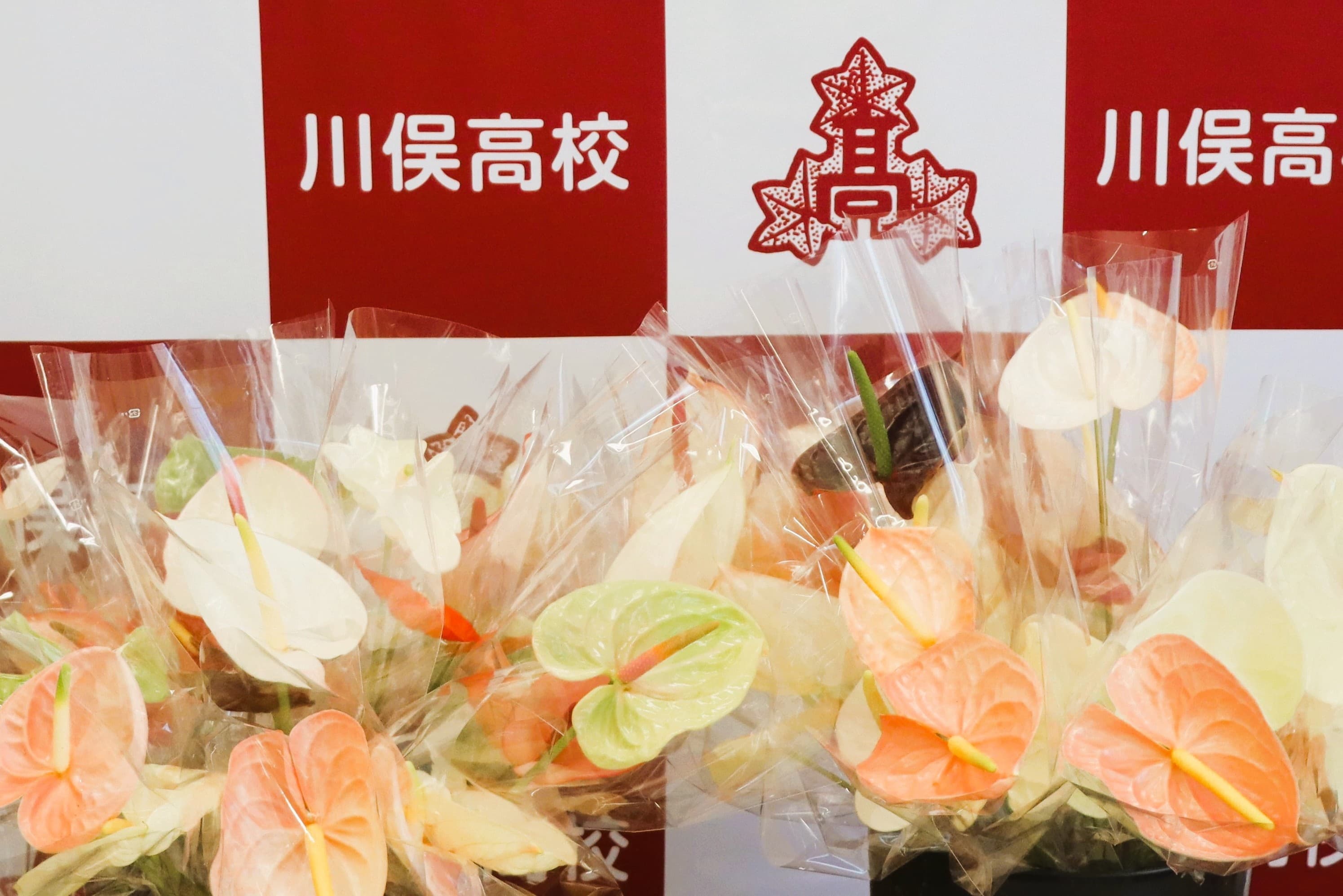 体験入学
