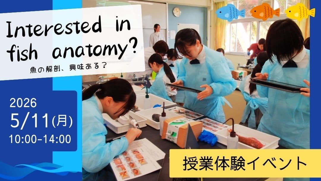 【授業をのぞいてみる~魚の解剖編~・個別進路相談/室戸高校】