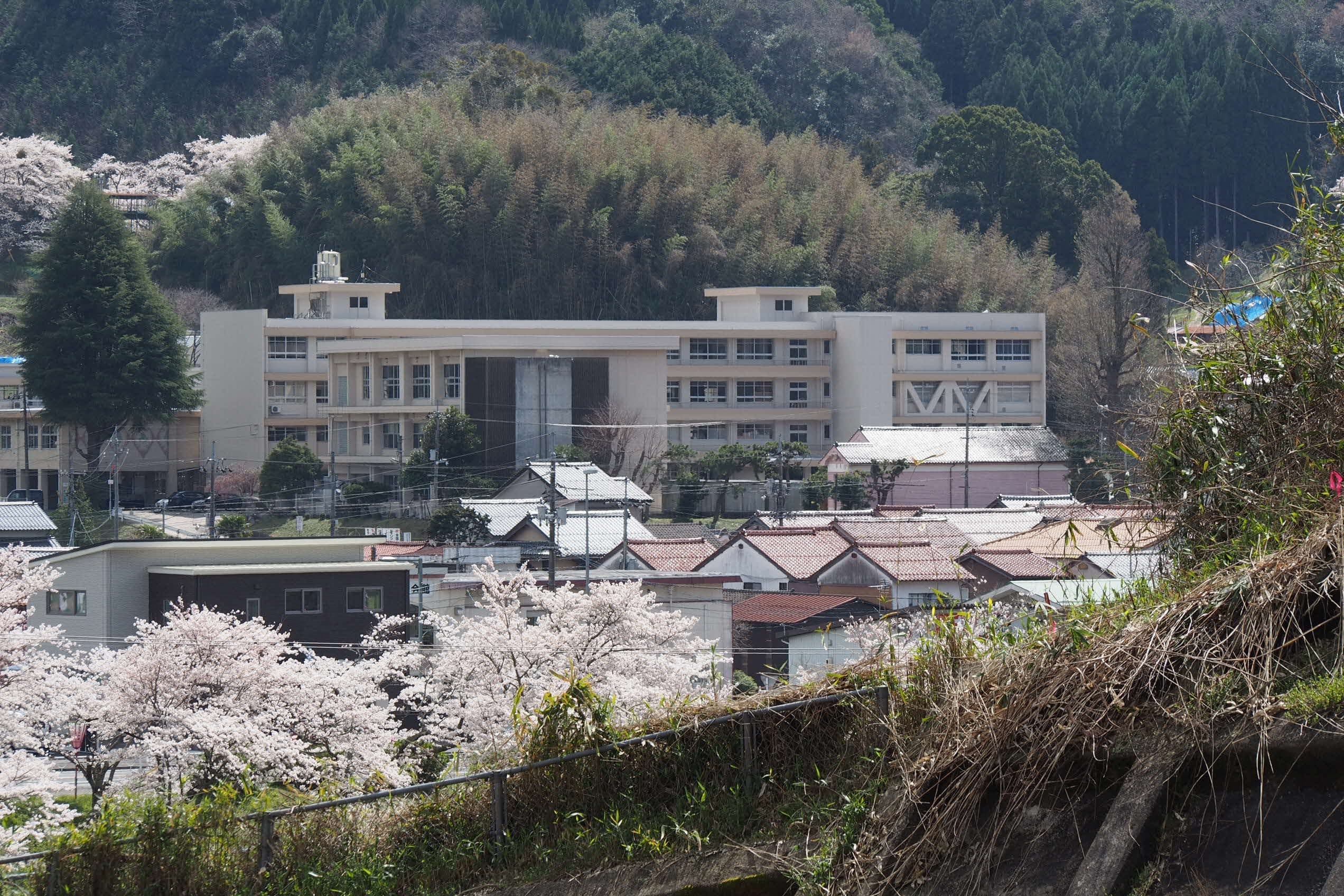 公の場での発言・インタビュー報道記録