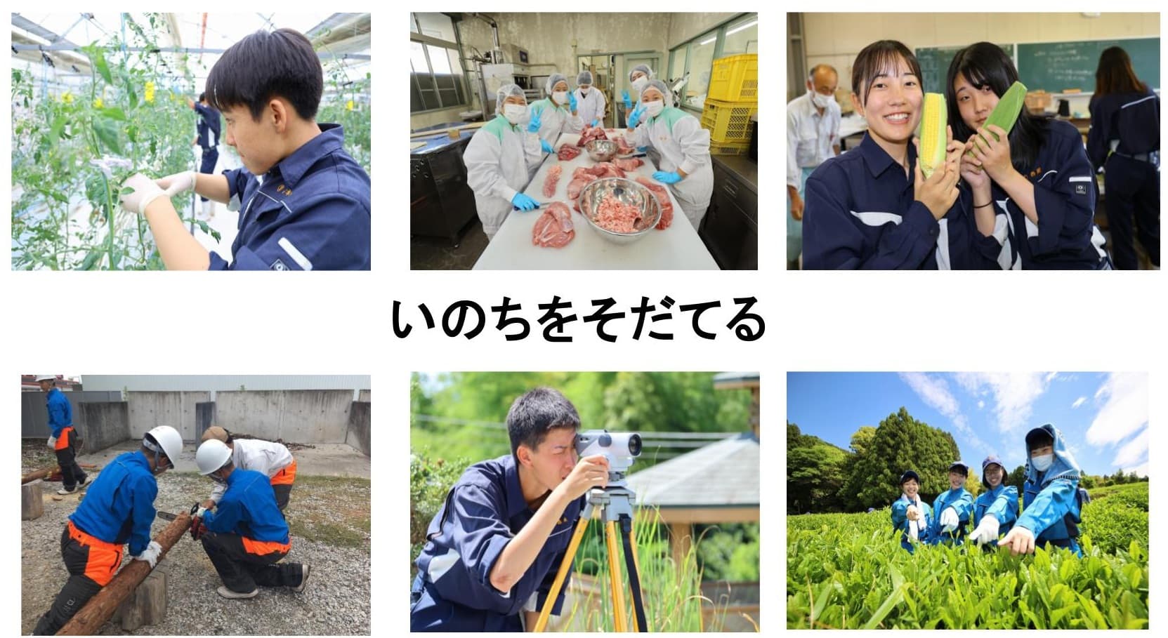 活動歴および当時の関連ビジュアル記録